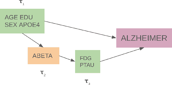 Figure 1 for CAGE: Causality-Aware Shapley Value for Global Explanations