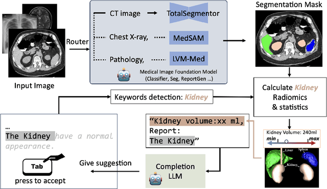 Figure 3 for CopilotCAD: Empowering Radiologists with Report Completion Models and Quantitative Evidence from Medical Image Foundation Models