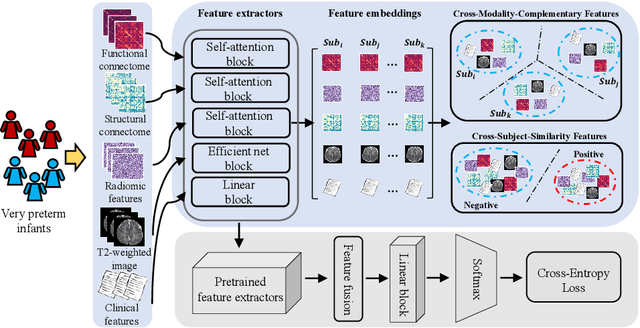Figure 1 for Joint Self-Supervised and Supervised Contrastive Learning for Multimodal MRI Data: Towards Predicting Abnormal Neurodevelopment