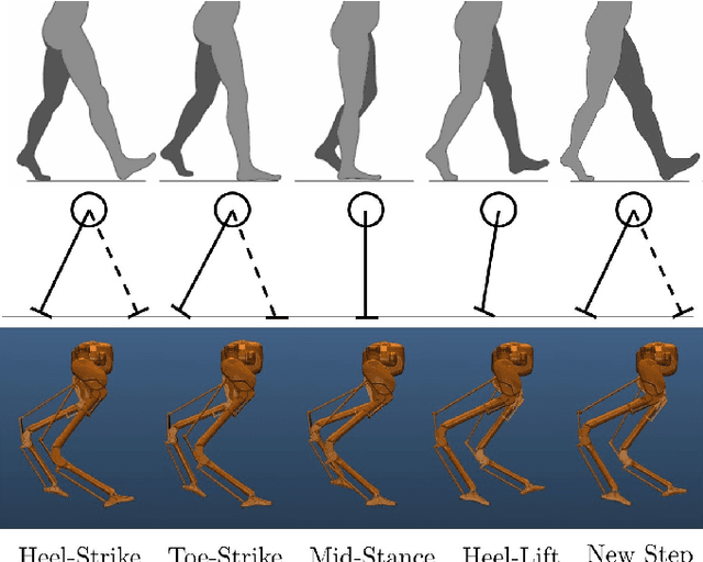 Figure 1 for Multi-Domain Walking with Reduced-Order Models of Locomotion