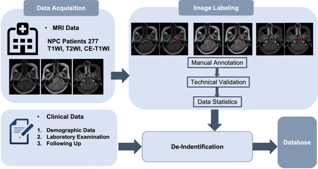 Figure 1 for A dataset of primary nasopharyngeal carcinoma MRI with multi-modalities segmentation