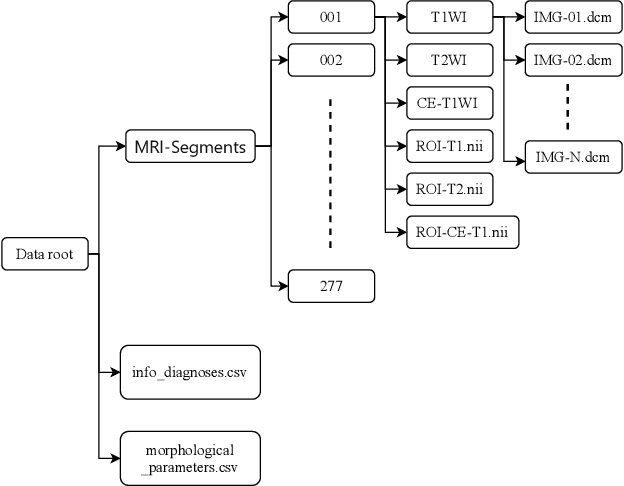 Figure 3 for A dataset of primary nasopharyngeal carcinoma MRI with multi-modalities segmentation