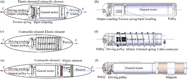 Figure 1 for Compliant actuators that mimic biological muscle performance with applications in a highly biomimetic robotic arm