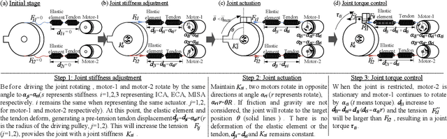 Figure 3 for Compliant actuators that mimic biological muscle performance with applications in a highly biomimetic robotic arm