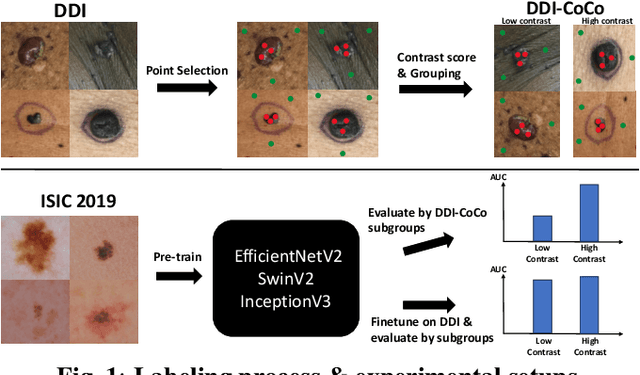 Figure 1 for DDI-CoCo: A Dataset For Understanding The Effect Of Color Contrast In Machine-Assisted Skin Disease Detection