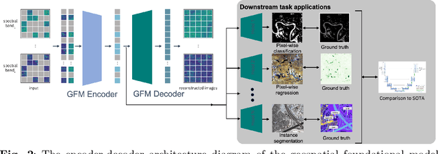 Figure 2 for Fine-tuning of Geospatial Foundation Models for Aboveground Biomass Estimation