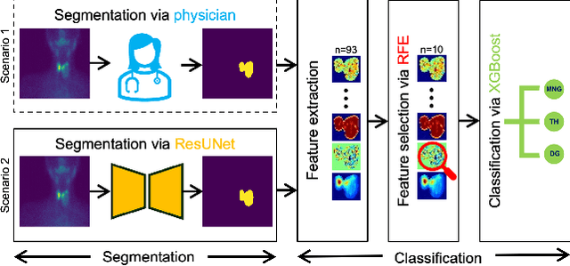 Figure 1 for Thyroidiomics: An Automated Pipeline for Segmentation and Classification of Thyroid Pathologies from Scintigraphy Images