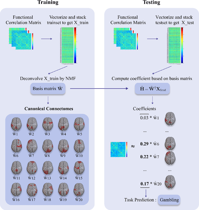 Figure 1 for Deconvolving Complex Neuronal Networks into Interpretable Task-Specific Connectomes