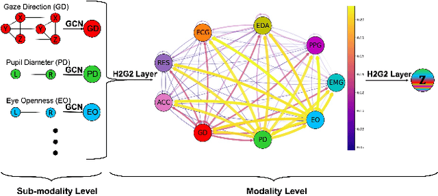 Figure 3 for H2G2-Net: A Hierarchical Heterogeneous Graph Generative Network Framework for Discovery of Multi-Modal Physiological Responses