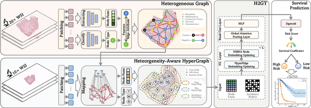 Figure 2 for Multi-Scale Heterogeneity-Aware Hypergraph Representation for Histopathology Whole Slide Images