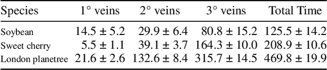 Figure 2 for Revealing Hierarchical Structure of Leaf Venations in Plant Science via Label-Efficient Segmentation: Dataset and Method