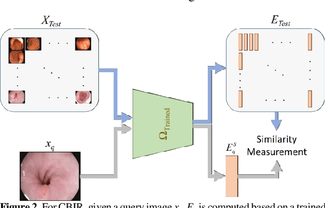 Figure 2 for Content-Based Medical Image Retrieval with Opponent Class Adaptive Margin Loss