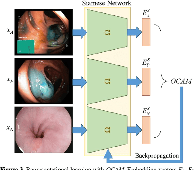 Figure 3 for Content-Based Medical Image Retrieval with Opponent Class Adaptive Margin Loss