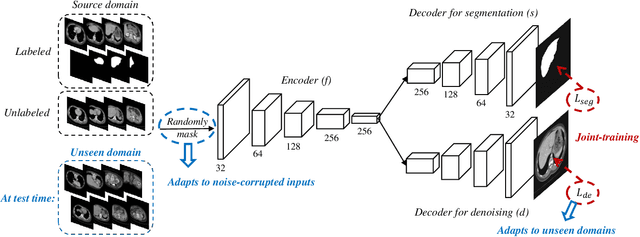 Figure 1 for From Denoising Training to Test-Time Adaptation: Enhancing Domain Generalization for Medical Image Segmentation