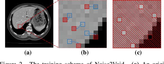 Figure 2 for From Denoising Training to Test-Time Adaptation: Enhancing Domain Generalization for Medical Image Segmentation