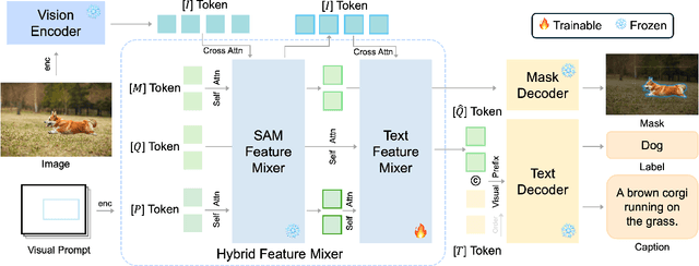 Figure 3 for Segment and Caption Anything