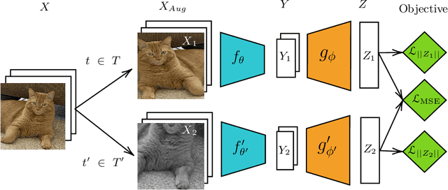 Figure 1 for FroSSL: Frobenius Norm Minimization for Self-Supervised Learning