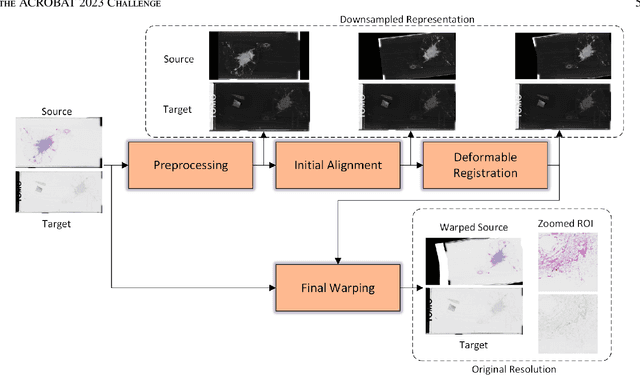 Figure 3 for RegWSI: Whole Slide Image Registration using Combined Deep Feature- and Intensity-Based Methods: Winner of the ACROBAT 2023 Challenge