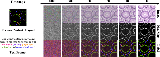 Figure 1 for Co-synthesis of Histopathology Nuclei Image-Label Pairs using a Context-Conditioned Joint Diffusion Model