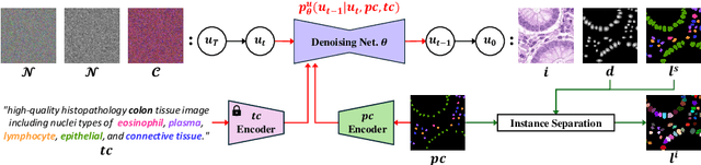 Figure 3 for Co-synthesis of Histopathology Nuclei Image-Label Pairs using a Context-Conditioned Joint Diffusion Model