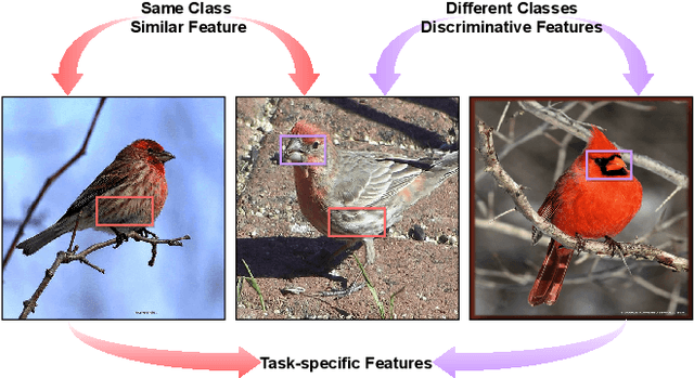 Figure 1 for PrototypeFormer: Learning to Explore Prototype Relationships for Few-shot Image Classification