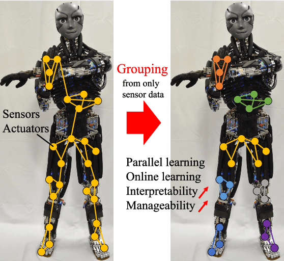 Figure 1 for Automatic Grouping of Redundant Sensors and Actuators Using Functional and Spatial Connections: Application to Muscle Grouping for Musculoskeletal Humanoids