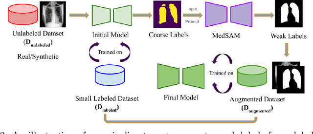 Figure 3 for Auto-Generating Weak Labels for Real & Synthetic Data to Improve Label-Scarce Medical Image Segmentation