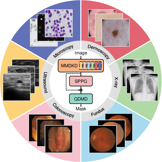 Figure 1 for ESP-MedSAM: Efficient Self-Prompting SAM for Universal Domain-Generalized Medical Image Segmentation