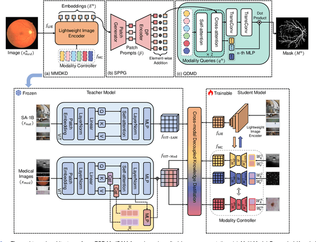 Figure 2 for ESP-MedSAM: Efficient Self-Prompting SAM for Universal Domain-Generalized Medical Image Segmentation