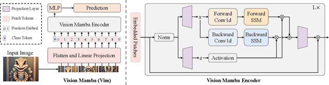 Figure 2 for Vision Mamba: Efficient Visual Representation Learning with Bidirectional State Space Model