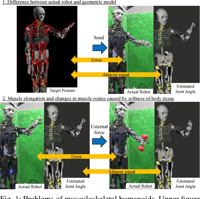 Figure 1 for Online Self-body Image Acquisition Considering Changes in Muscle Routes Caused by Softness of Body Tissue for Tendon-driven Musculoskeletal Humanoids