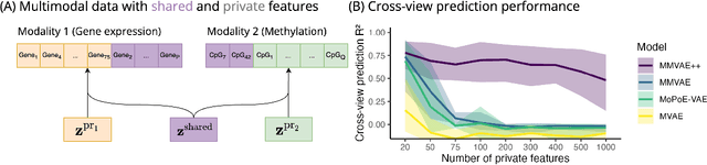 Figure 1 for Disentangling shared and private latent factors in multimodal Variational Autoencoders