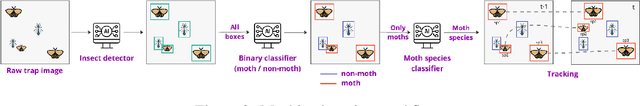 Figure 2 for A machine learning pipeline for automated insect monitoring