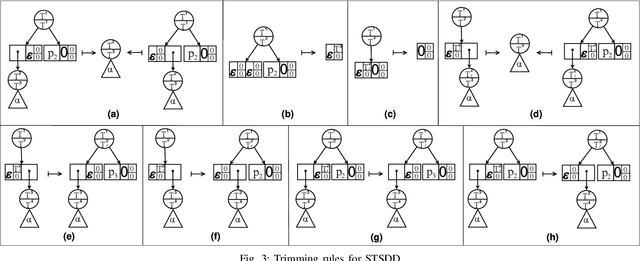 Figure 3 for Variants of Tagged Sentential Decision Diagrams