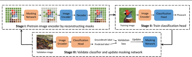 Figure 1 for Downstream Task Guided Masking Learning in Masked Autoencoders Using Multi-Level Optimization