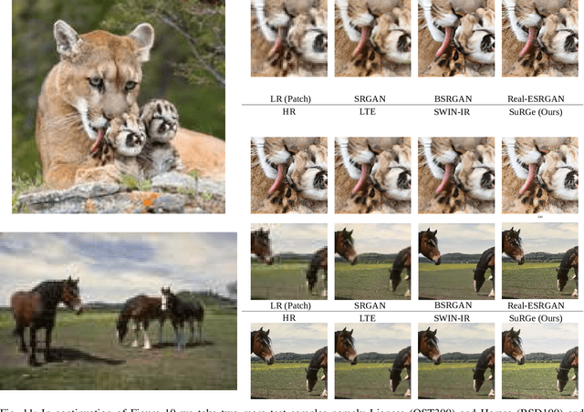 Figure 3 for Fortifying Fully Convolutional Generative Adversarial Networks for Image Super-Resolution Using Divergence Measures