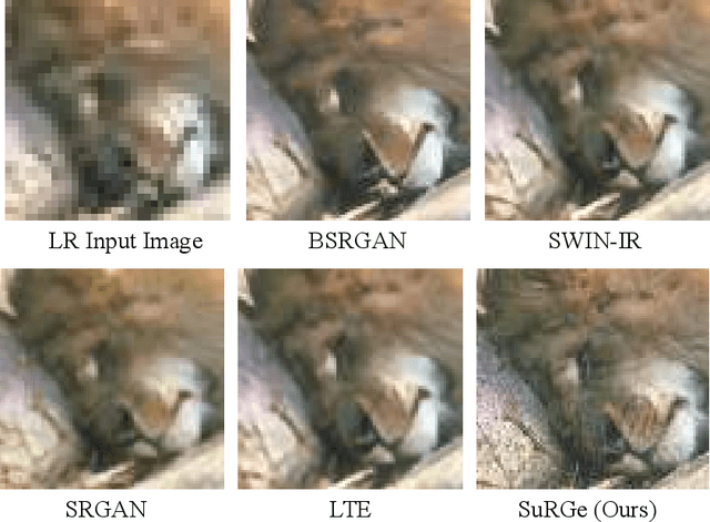 Figure 1 for Fortifying Fully Convolutional Generative Adversarial Networks for Image Super-Resolution Using Divergence Measures