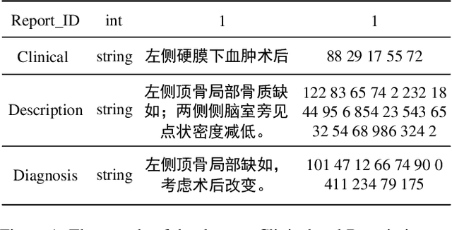 Figure 1 for First Place Solution of 2023 Global Artificial Intelligence Technology Innovation Competition Track 1