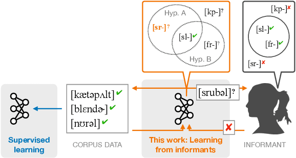 Figure 1 for Learning Phonotactics from Linguistic Informants