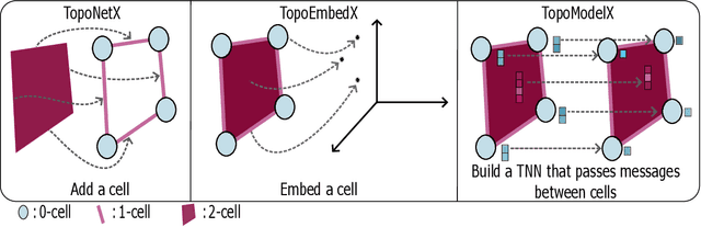 Figure 1 for TopoX: A Suite of Python Packages for Machine Learning on Topological Domains