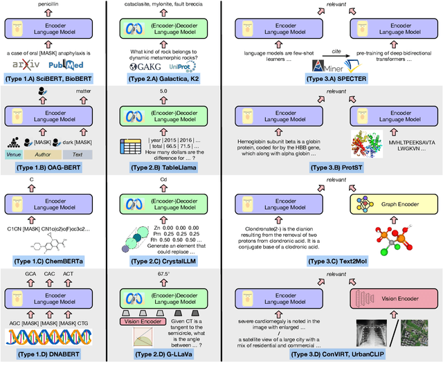 Figure 1 for A Comprehensive Survey of Scientific Large Language Models and Their Applications in Scientific Discovery