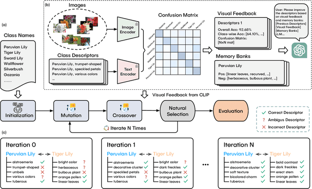 Figure 3 for LLMs as Visual Explainers: Advancing Image Classification with Evolving Visual Descriptions