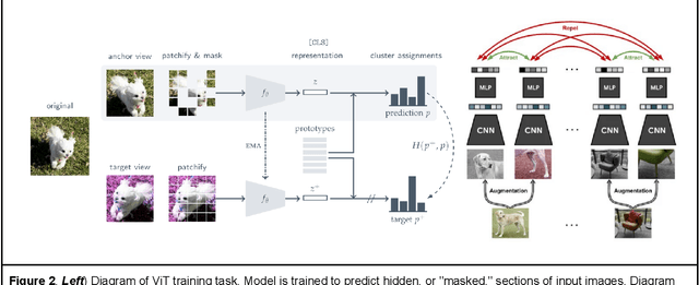 Figure 3 for The unreasonable effectiveness of AI CADe polyp detectors to generalize to new countries