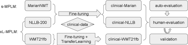 Figure 1 for Neural Machine Translation of Clinical Text: An Empirical Investigation into Multilingual Pre-Trained Language Models and Transfer-Learning