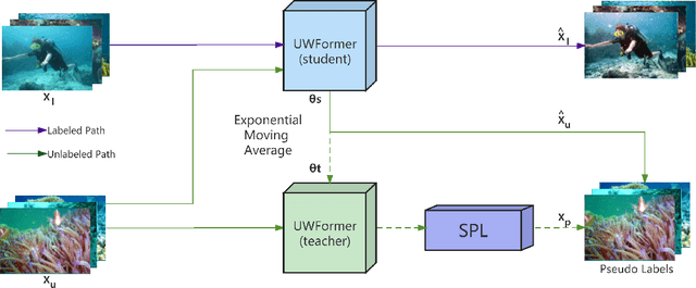 Figure 3 for UWFormer: Underwater Image Enhancement via a Semi-Supervised Multi-Scale Transformer