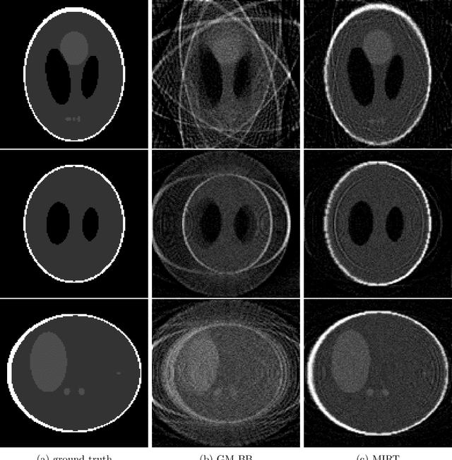 Figure 2 for MIRT: a simultaneous reconstruction and affine motion compensation technique for four dimensional computed tomography (4DCT)