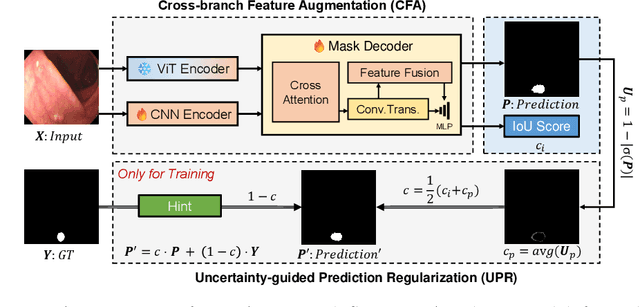 Figure 1 for ASPS: Augmented Segment Anything Model for Polyp Segmentation