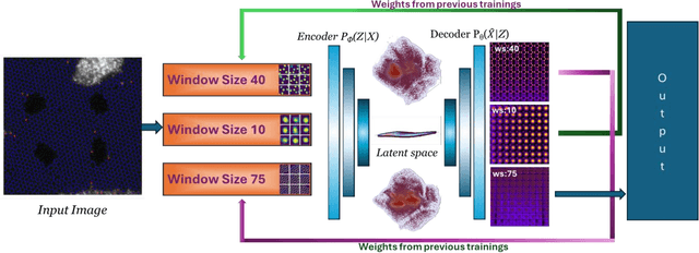 Figure 1 for Invariant Discovery of Features Across Multiple Length Scales: Applications in Microscopy and Autonomous Materials Characterization