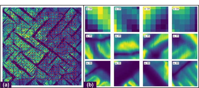 Figure 2 for Invariant Discovery of Features Across Multiple Length Scales: Applications in Microscopy and Autonomous Materials Characterization