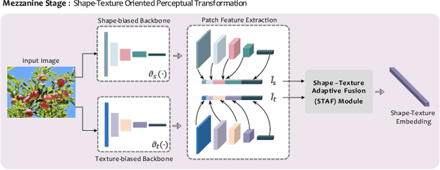 Figure 3 for Deep Shape-Texture Statistics for Completely Blind Image Quality Evaluation